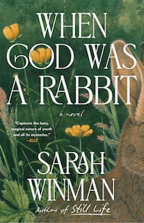 Couverture_When God Was a Rabbit