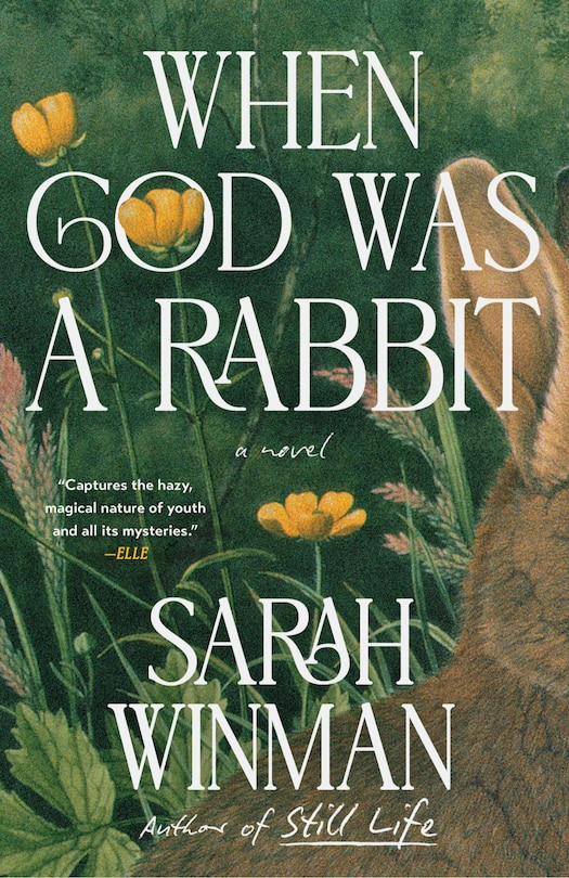 Couverture_When God Was a Rabbit