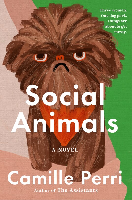 Front cover_Social Animals