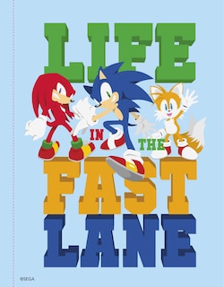 Aper&ccedil;u du contenu_Sonic the Hedgehog: Sonic Super Poster Book