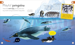 Sample content 2_My Encyclopedia of Very Important Oceans