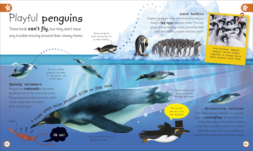 Sample content 2_My Encyclopedia of Very Important Oceans