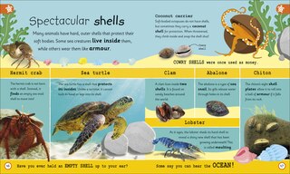Sample content 3_My Encyclopedia of Very Important Oceans