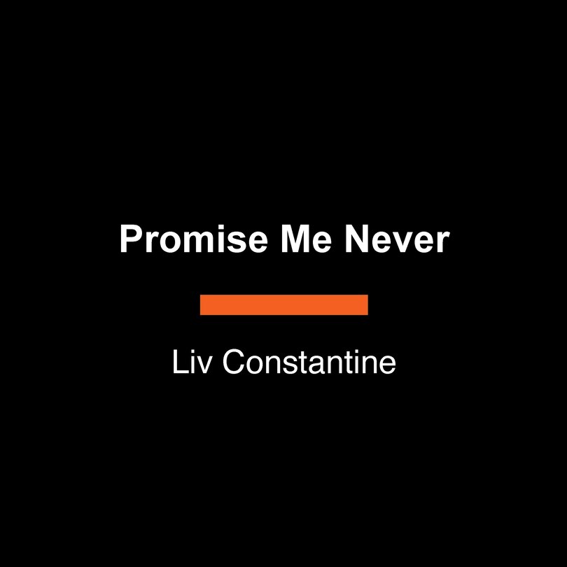 Couverture_Promise Me Never