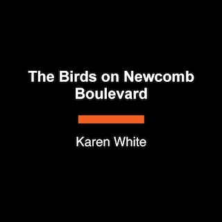 Front cover_The Birds on Newcomb Boulevard