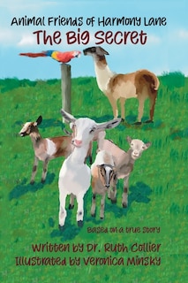 Couverture_The Big Secret