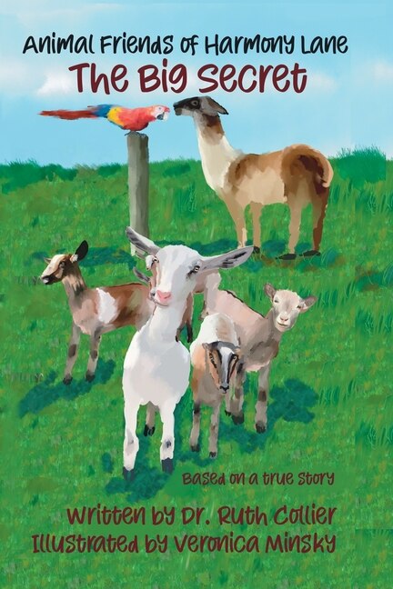 Couverture_The Big Secret