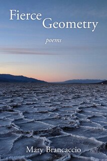 Front cover_Fierce Geometry