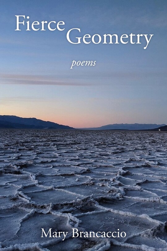 Front cover_Fierce Geometry