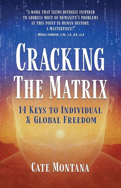 Couverture_Cracking the Matrix