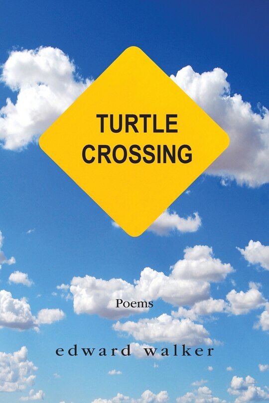 Front cover_Turtle Crossing