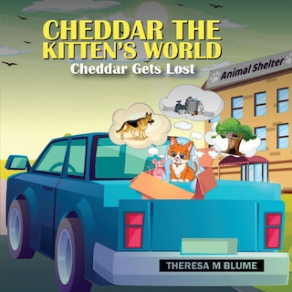 Cheddar The Kitten's World: Cheddar Gets Lost