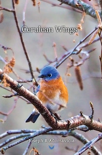 Front cover_Cerulean Wings