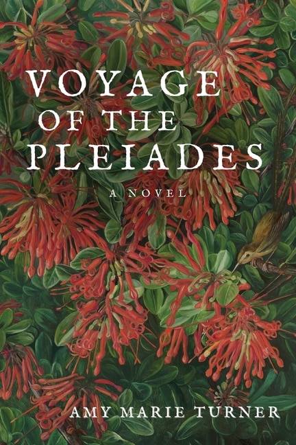 Couverture_Voyage of the Pleiades