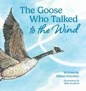 Front cover_The Goose Who Talked to the Wind