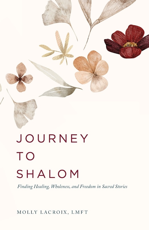Front cover_Journey to Shalom