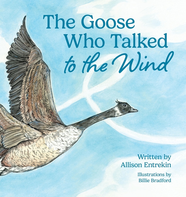 Front cover_The Goose Who Talked to the Wind