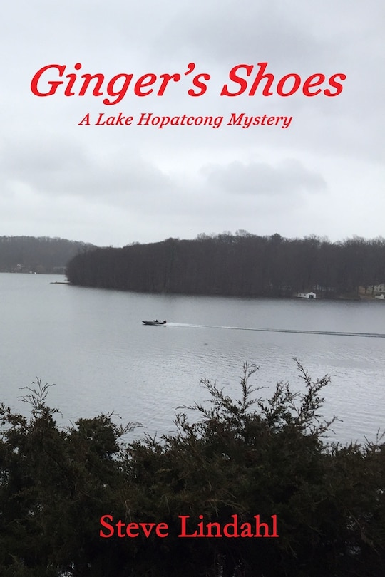 Couverture_Ginger's Shoes