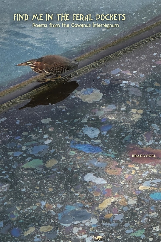 Front cover_Find Me In the Feral Pockets