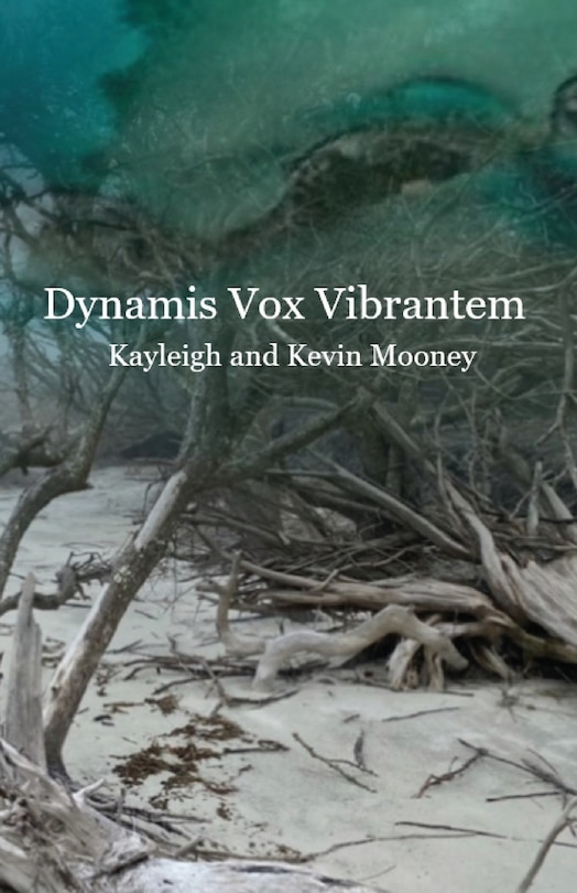 Couverture_Dynamis Vox Vibrantem