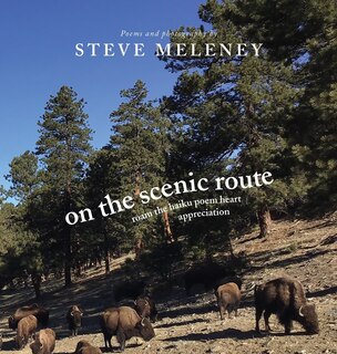 Couverture_On The Scenic Route