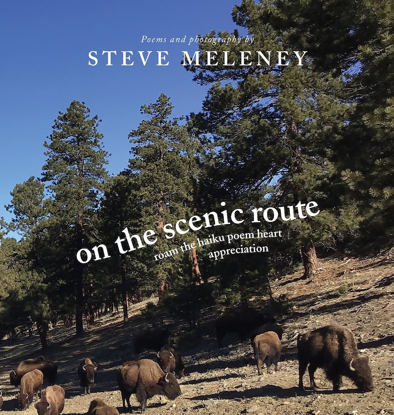 Couverture_On The Scenic Route