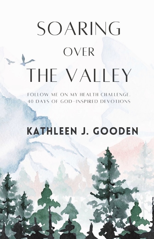 Couverture_Soaring Over the Valley