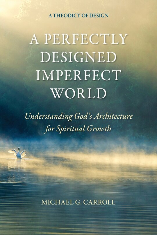Front cover_A Perfectly Designed Imperfect World