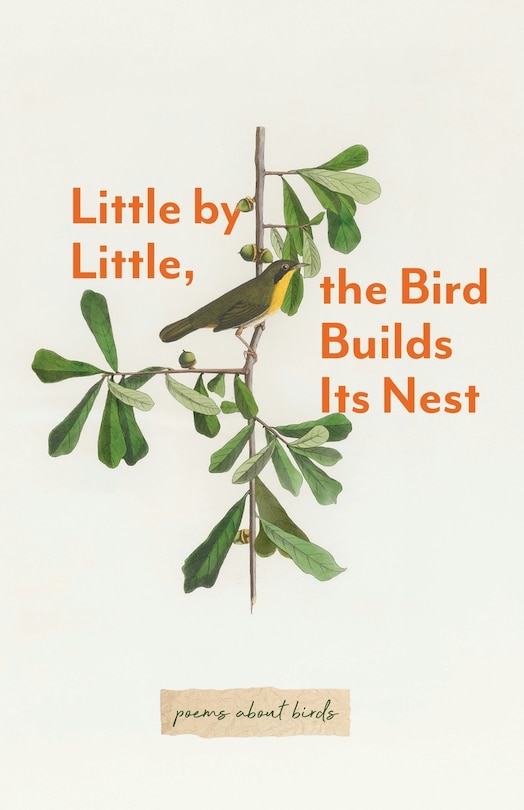 Couverture_Little By Little, The Bird Builds Its Nest