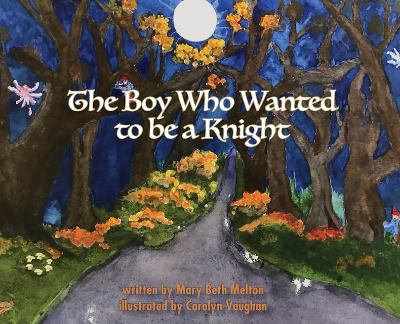 Couverture_The Boy Who Wanted to be a Knight