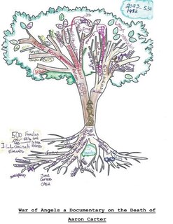 Couverture_War of Angels a Documentary on the Death of Aaron Carter