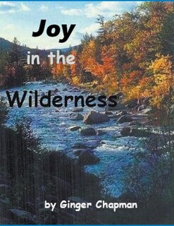 Front cover_Joy in the Wilderness