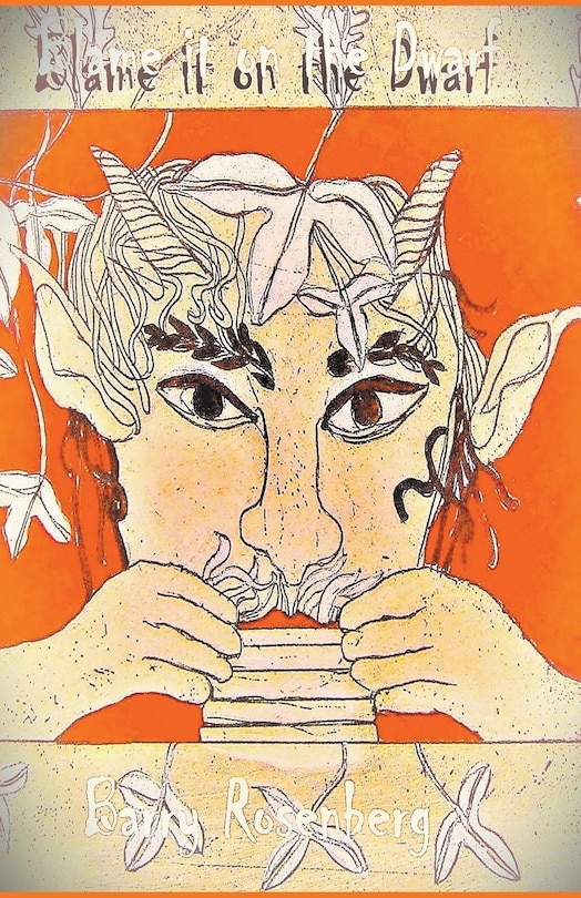 Front cover_Blame it on the Dwarf