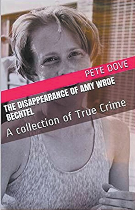 Front cover_The Disappearance of Amy Wroe Bechtel
