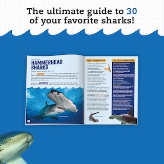 Sample content 3_Klutz STEAM Lab Shark-tastic Teeth!