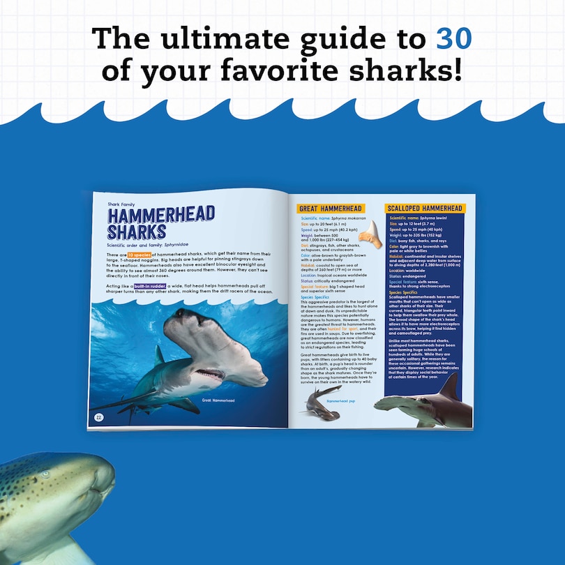 Sample content 3_Klutz STEAM Lab Shark-tastic Teeth!