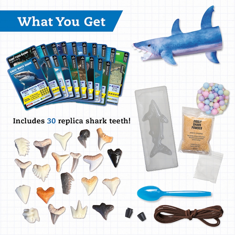 Sample content 4_Klutz STEAM Lab Shark-tastic Teeth!