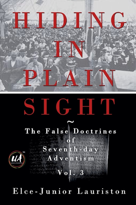 Front cover_Hiding In Plain Sight