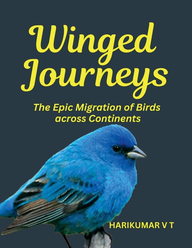 Couverture_Winged Journeys