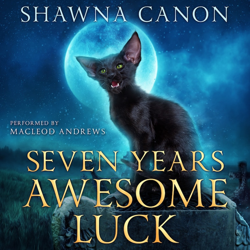 Front cover_Seven Years Awesome Luck