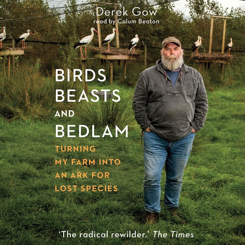 Couverture_Birds, Beasts, and Bedlam