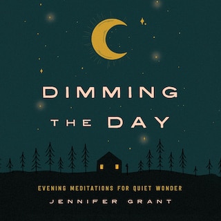 Couverture_Dimming the Day