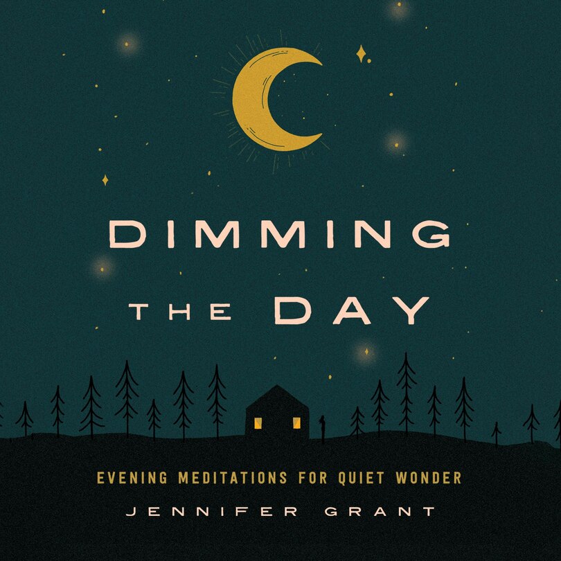 Couverture_Dimming the Day