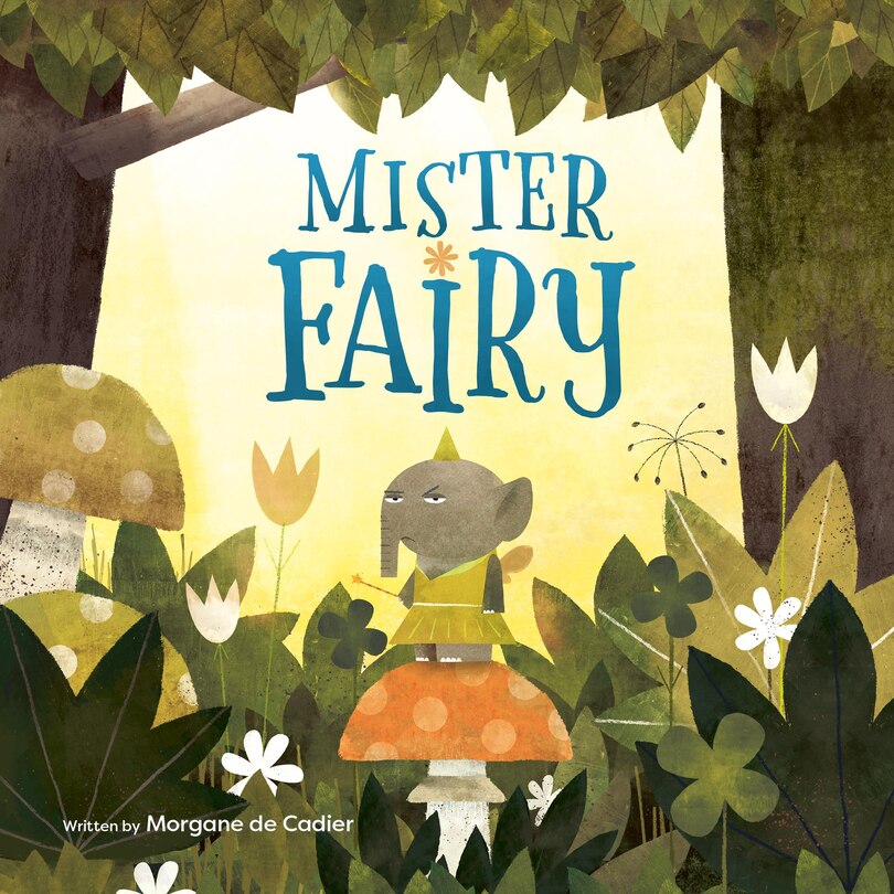 Couverture_Mister Fairy