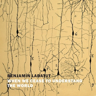 Front cover_When We Cease to Understand the World