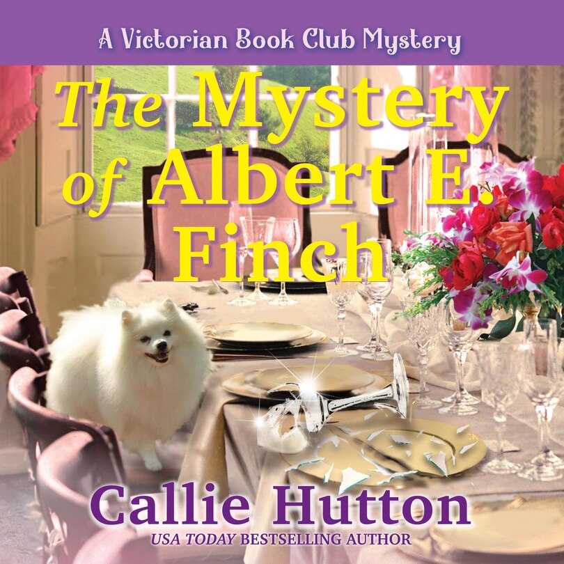 Front cover_The Mystery of Albert E. Finch