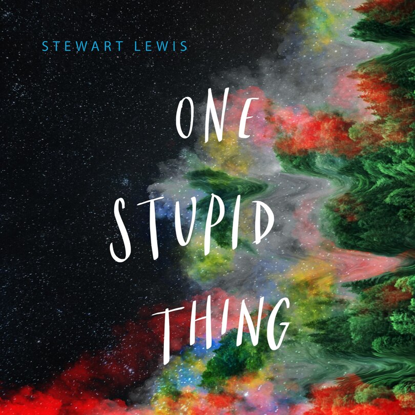 Front cover_One Stupid Thing