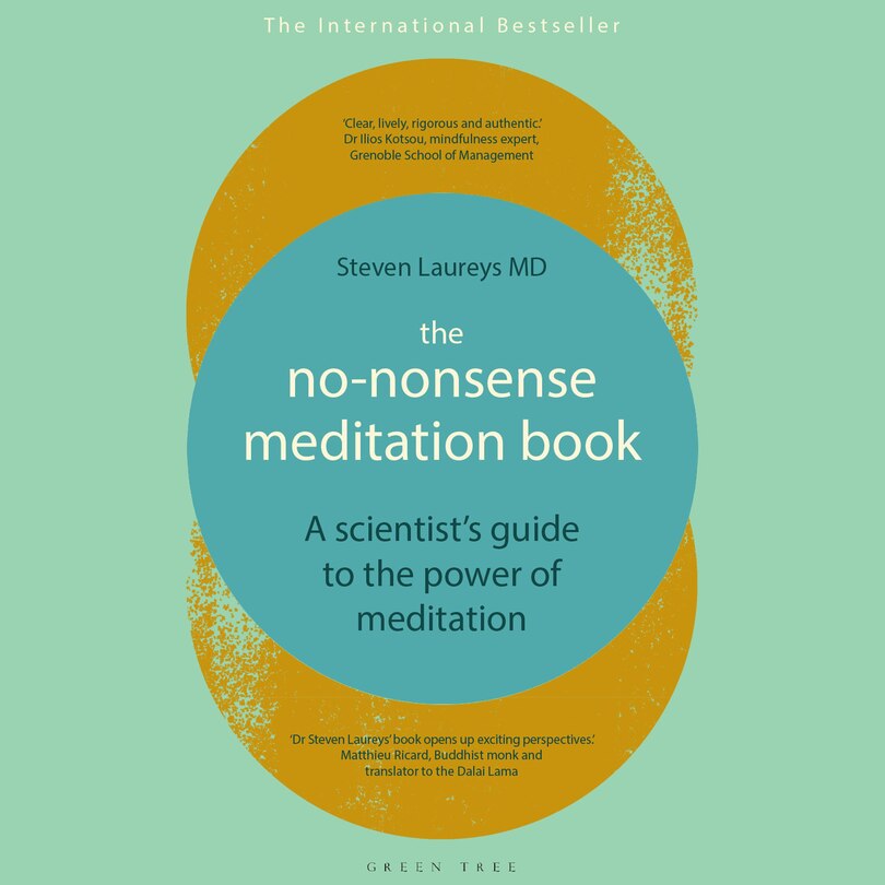Couverture_The No-Nonsense Meditation Book