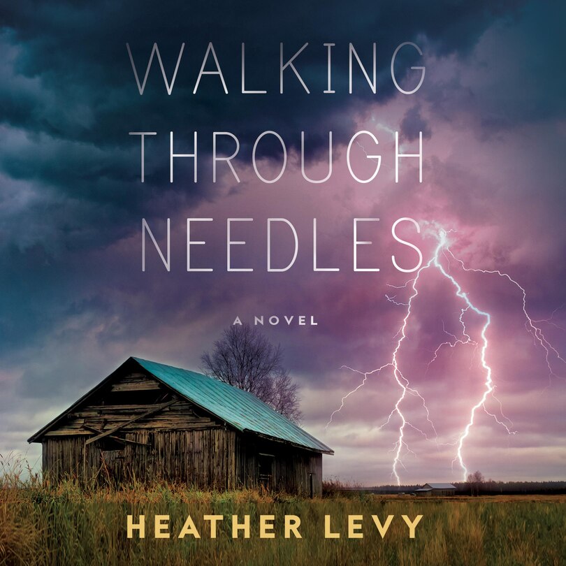 Couverture_Walking Through Needles
