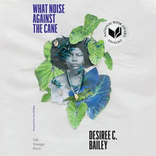 Front cover_What Noise Against the Cane